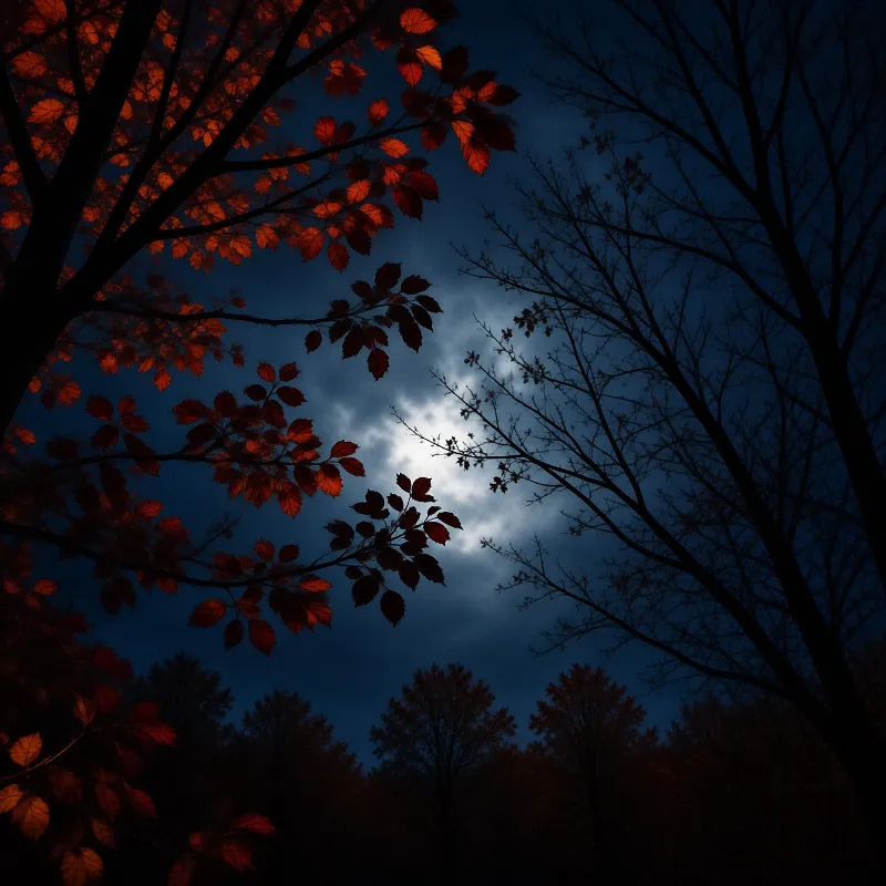 Silhouetted branches frame a moonlit cloud while reddish leaves glow brightly against the deep blue night sky.