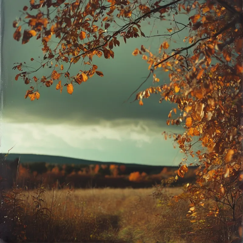 Brown autumn leaves hang from dark branches framing a view of a distant forested hill and grassy field beneath a teal sky.