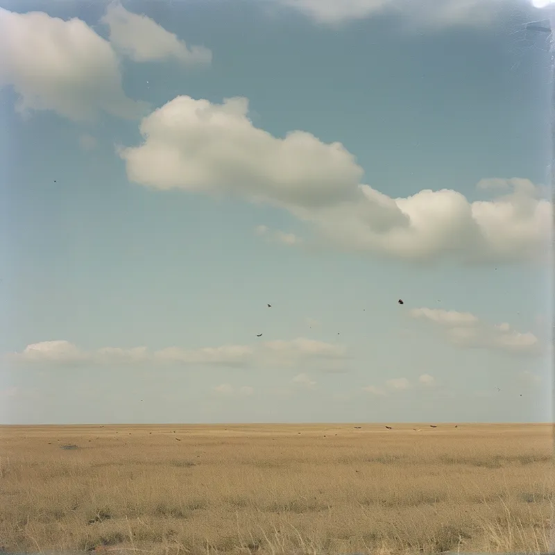 A wide expanse of golden grasslands meets a pale blue sky dotted with white clouds, while a few dark birds fly overhead.