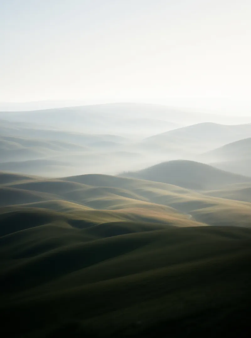 Rolling Hills in Mist