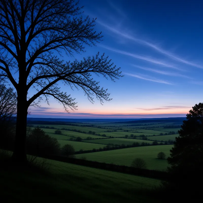 A dark tree frames rolling green pastures beneath a gradient sky fading from deep blue to soft pink near the horizon.