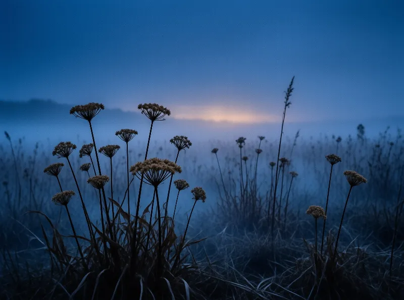 Misty Wildflower Dusk