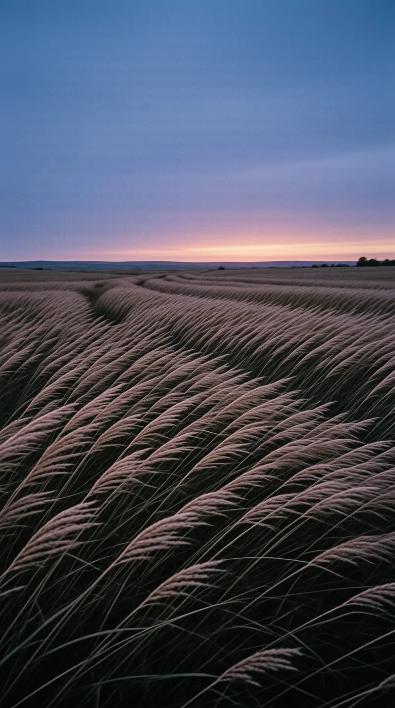 Vast fields of tall grasses bend in rhythmic waves beneath a twilight sky fading from blue to soft pink.