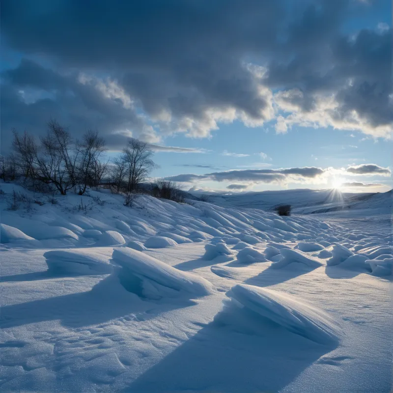 Sunlit Snowy Landscape