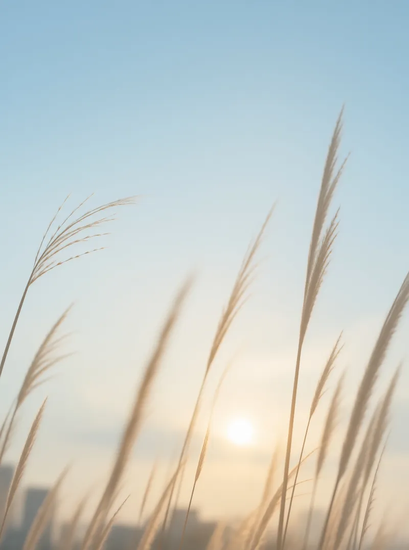 Sunlit Grass Against Sky