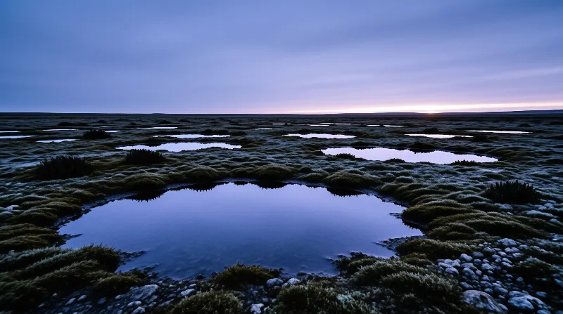 Small water bodies scattered across a mossy landscape under a gradient blue and purple sky at dusk.