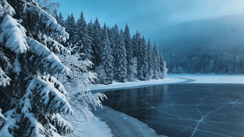 Winter Wonderland in Blue Hour Light