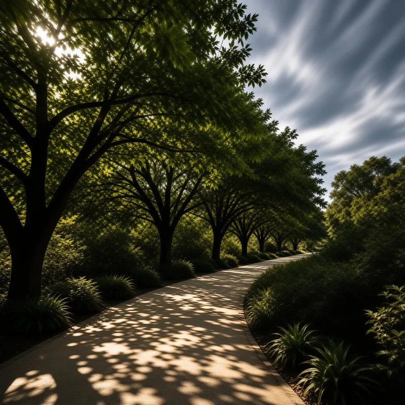 A paved path cuts through a dense tree tunnel, with bright sunlight throwing dappled leaf shadows across the pale walkway.