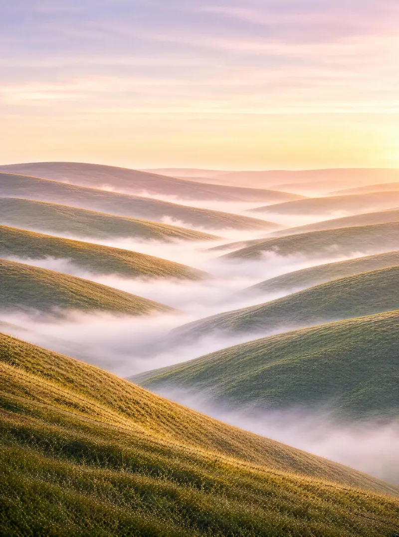 Misty Rolling Hills at Sunset