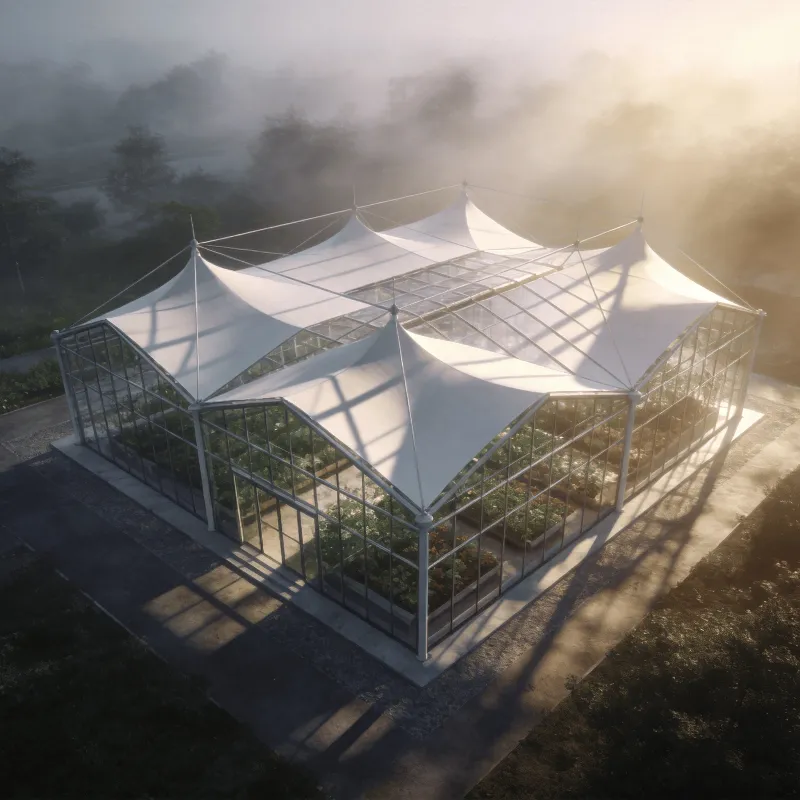 Greenhouse in Foggy Morning