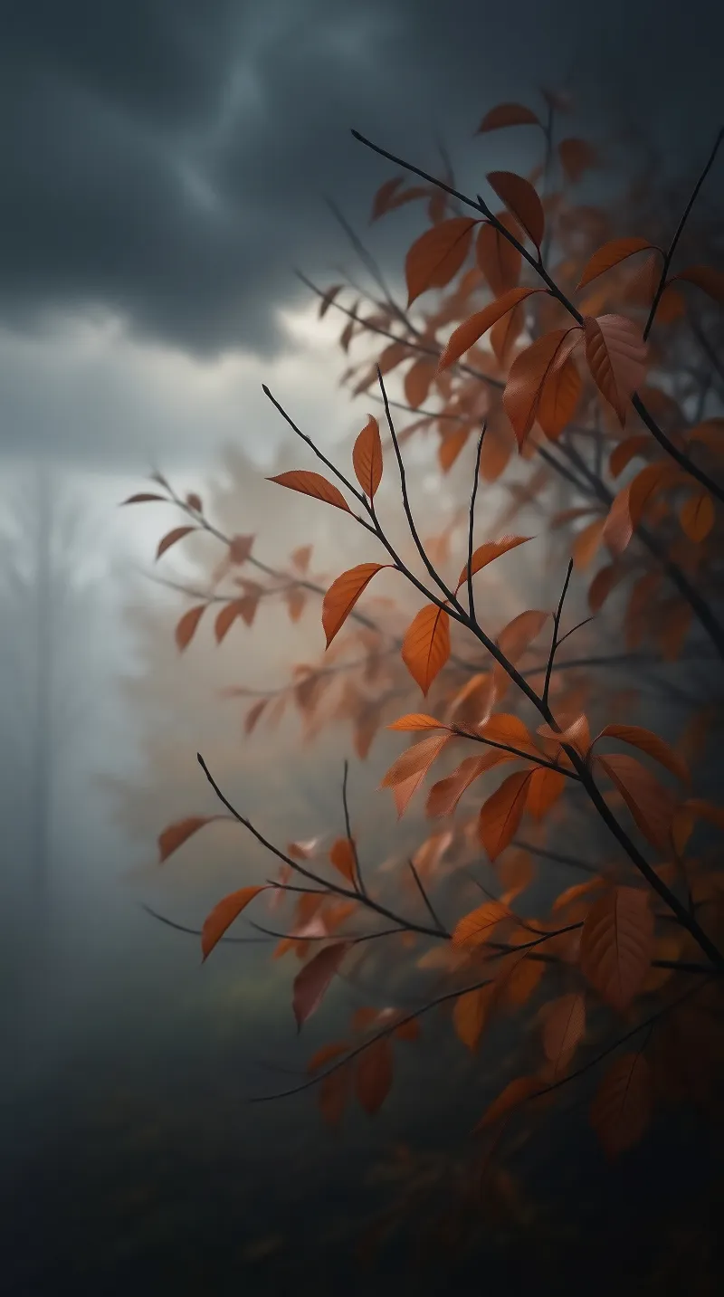 Autumn Leaves in Moody Sky