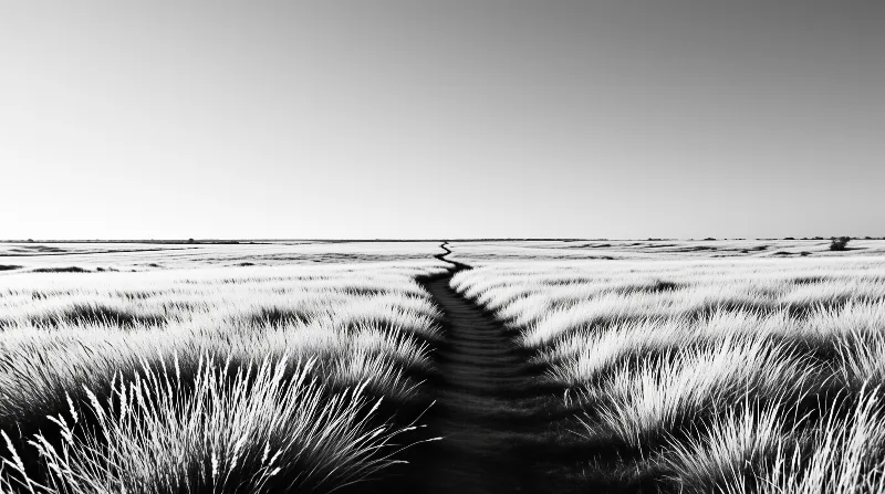 A narrow black path cuts through bright white grass toward a clean horizon in monochrome