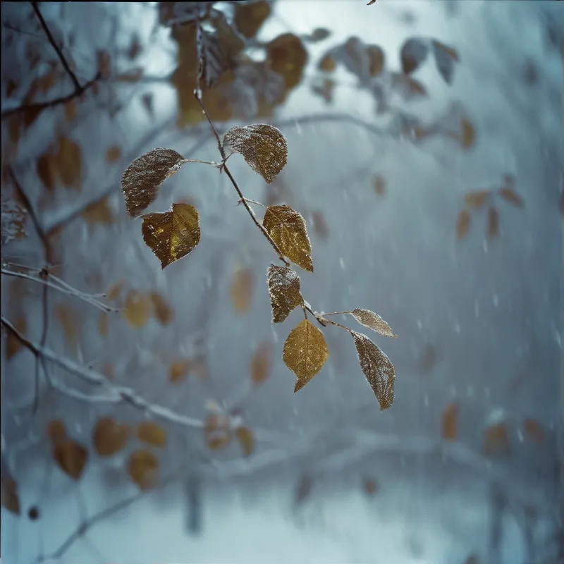 A slender branch holds brown leaves coated in white frost against a soft blue background.