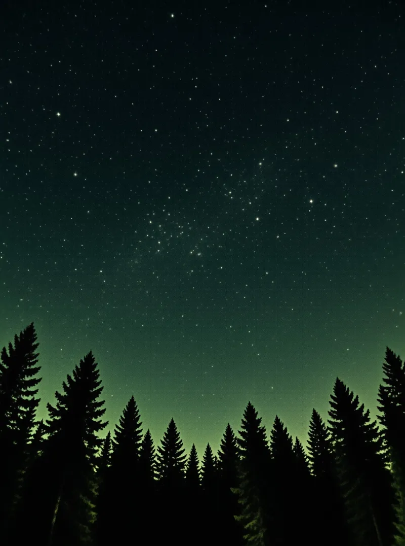 Silhouetted coniferous trees rise against a dark sky glowing with soft green aurora and countless bright stars.
