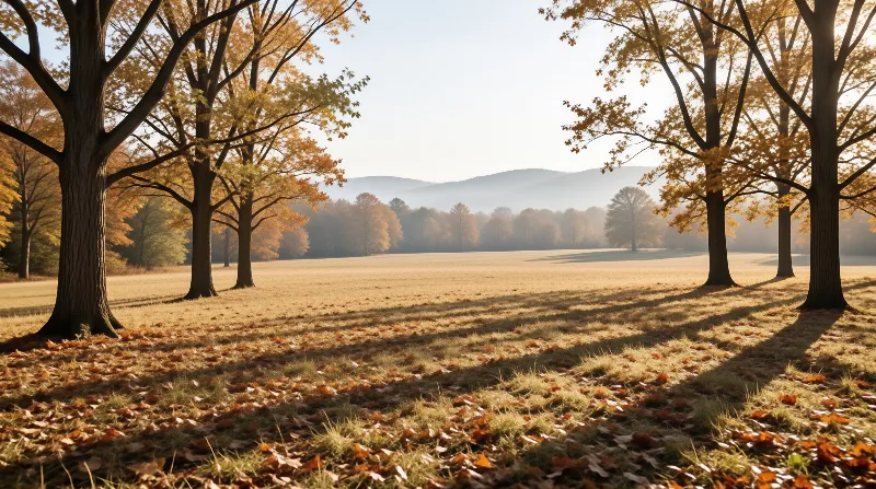 Golden Autumn Landscape