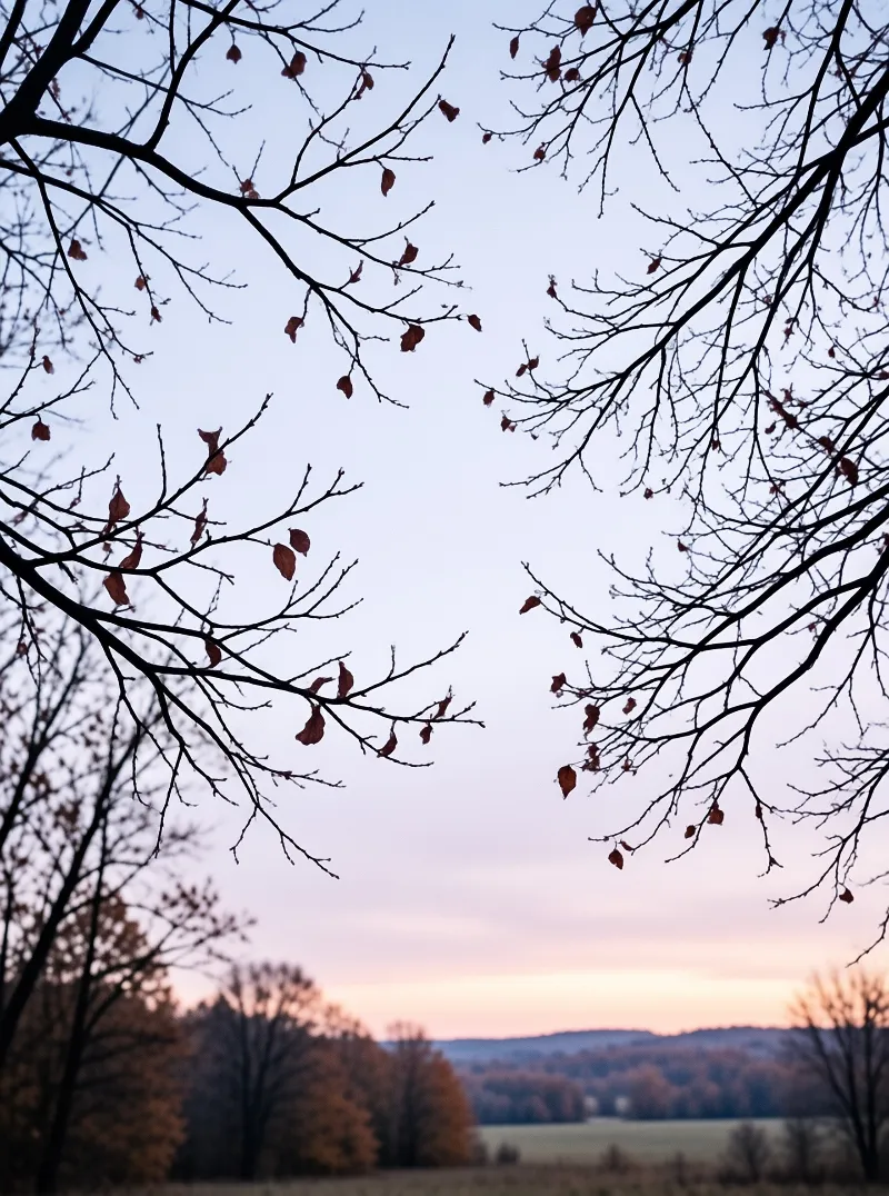 Dark tree branches frame a sky transitioning from blue to pink above a distant field and treeline during dusk.