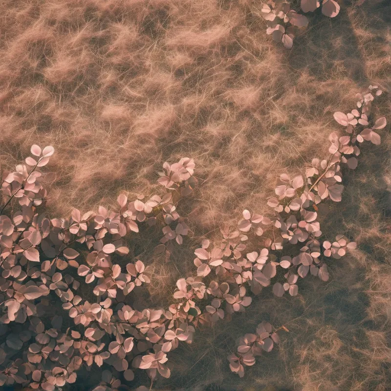 Pink leaves cluster on a fibrous dry surface lit by soft warm light creating a delicate natural texture.