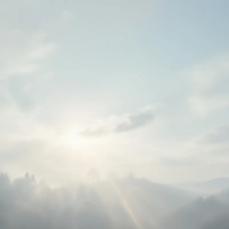 Misty Forest Sunrise