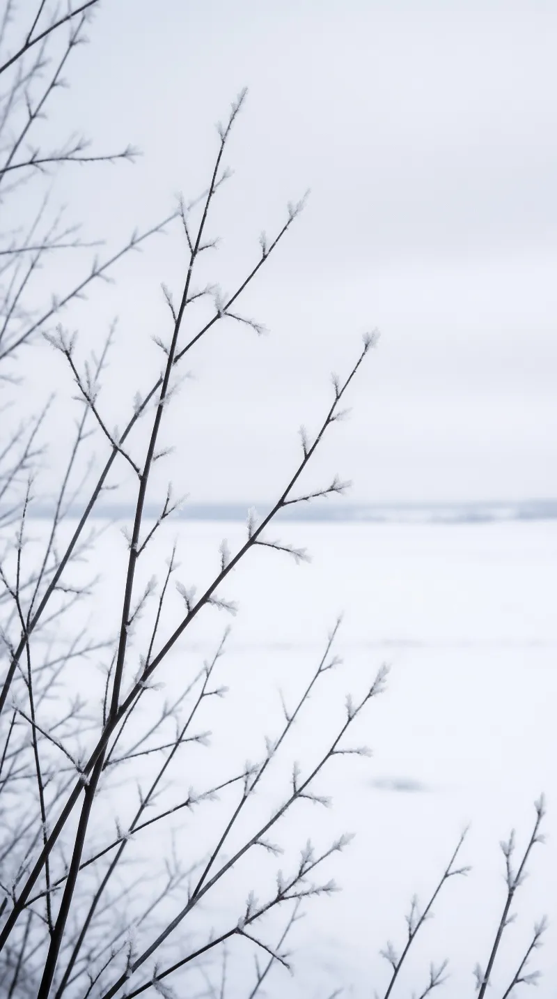 Dark thin twigs extend from the left side across a vast white snowy landscape under an overcast sky.
