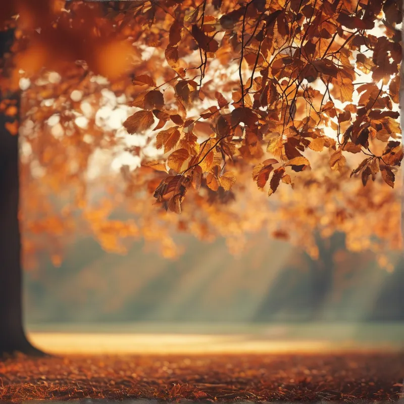 Overhanging autumn branches glow golden as sunlight filters through the leaves above a blurred shoreline