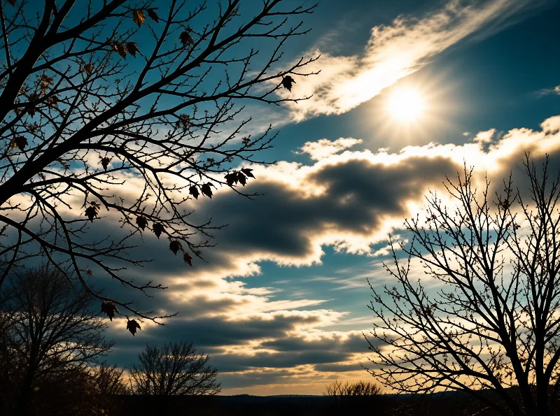 Bare tree branches in silhouette frame a bright sun breaking through dark blue clouds.