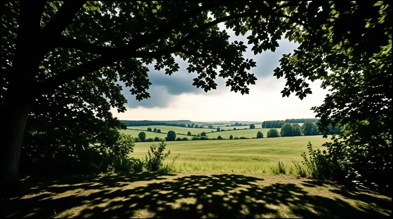 Dark tree branches frame a view of a sunlit green field and distant rolling hills under a partly cloudy sky.