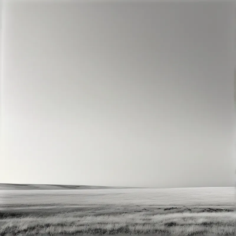 A monochromatic view of an empty salt flat stretching toward distant dunes beneath a completely bright sky.