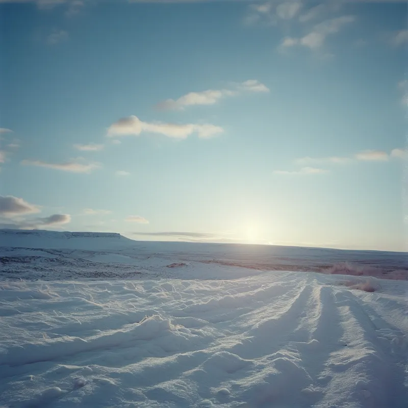 A vast expanse of white snow covers the ground under a pale blue sky with the sun shining low on the horizon.