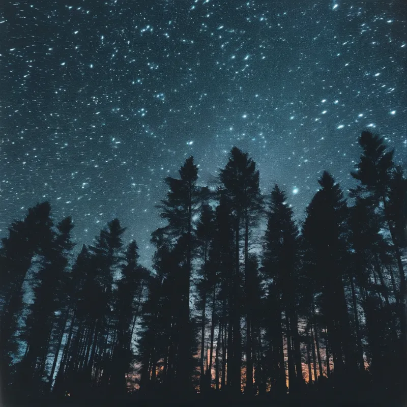 Dark forest silhouettes frame a deep blue night sky filled with countless bright stars and a faint horizon glow.