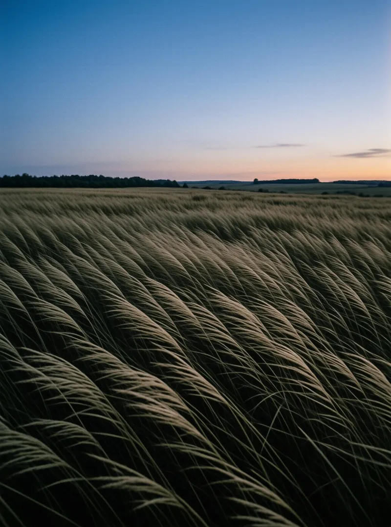 Wheat waves stretch under a twilight sky fading from blue to orange
