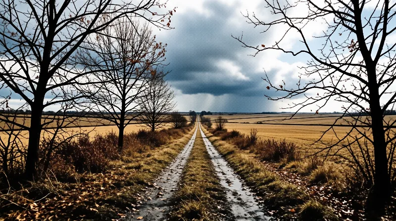 Wet dirt road with wheel ruts runs between bare trees toward fields under a storm cloud.