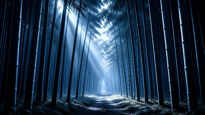 Mystical Bamboo Forest Path