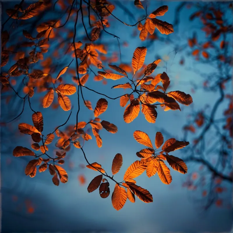 Rim-lit rust orange oak leaves hang from slender dark branches set against a deep saturated blue twilight sky, soft blurred foliage fills the edges of the frame.