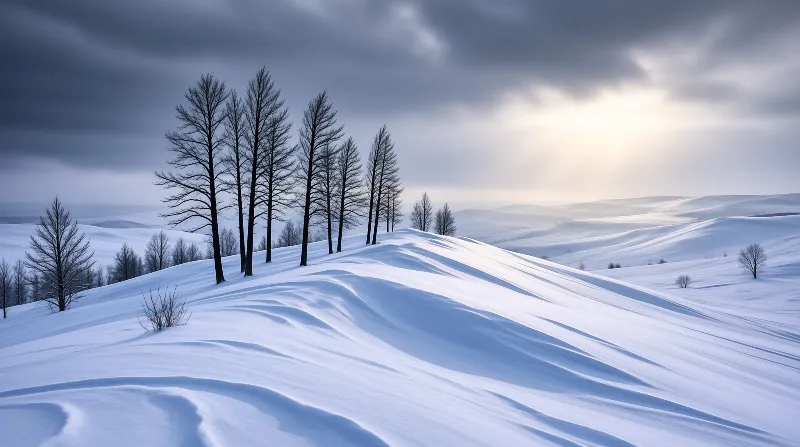 Sculpted snow waves roll beneath a line of leafless trees while sunlight breaks through heavy clouds.