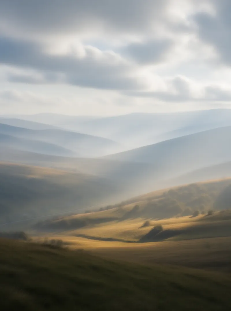 Misty Rolling Hills Landscape
