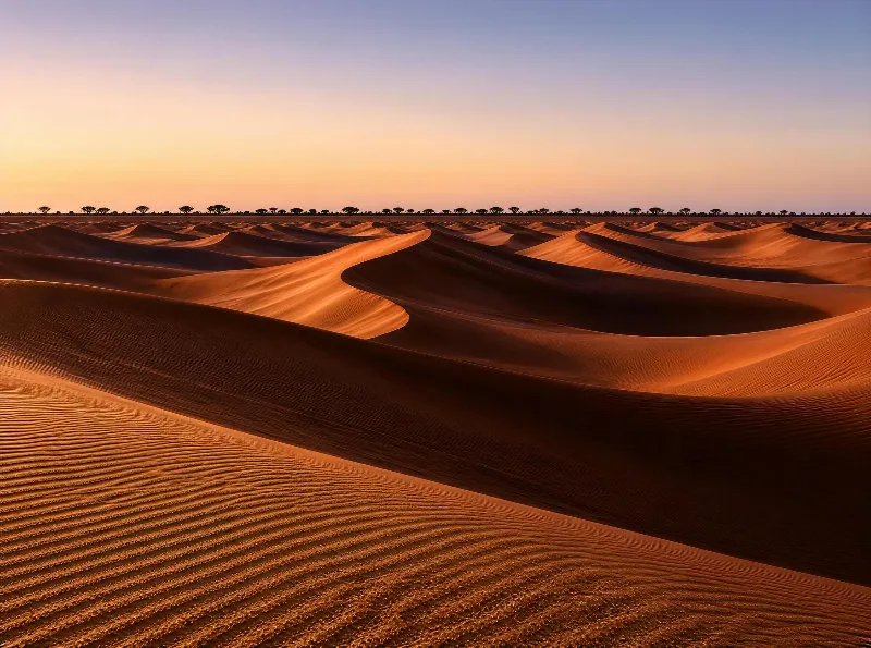 Desert Dunes at Sunset