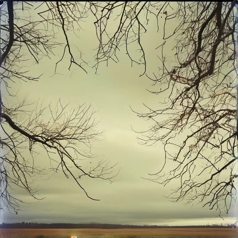 Dark leafless branches surround a soft yellowish sky above a distant open grassy landscape.