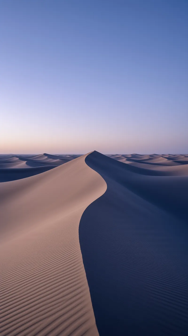 Wind shaped sand dunes curve across the desert while soft dawn light casts deep blue shadows against the rising dune ridge
