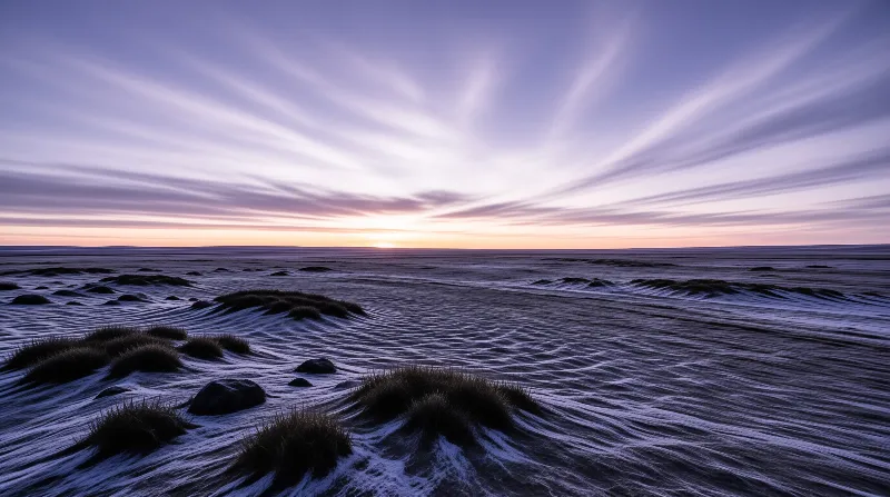 Textured salt flat with scattered vegetation under a purple sky streaked with clouds and distant sunset glow.