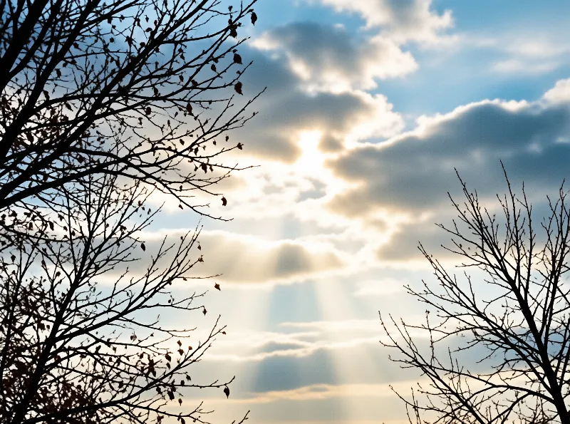 Silhouetted bare tree branches frame a cloudy sky where radiant sunbeams shine through gaps in the clouds.