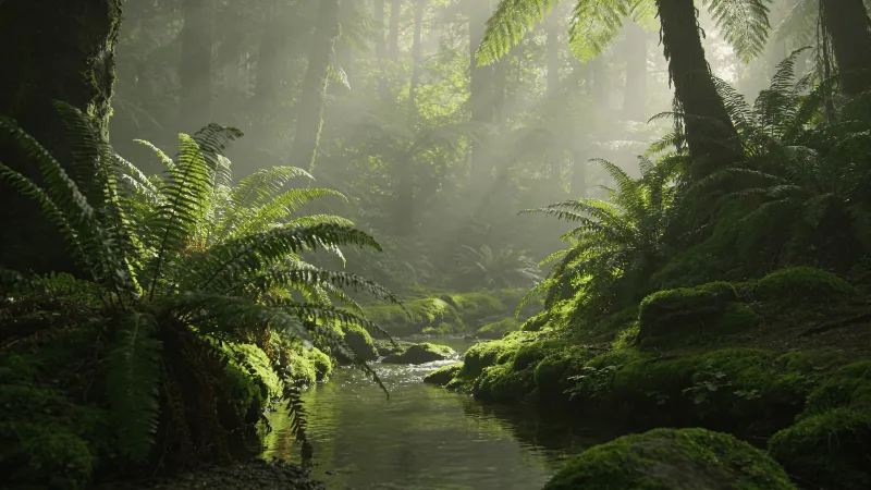 Soft Moss and Ferns in Morning Light