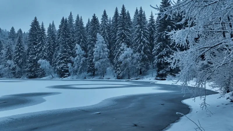 Winter Wonderland in Blue Hour Light