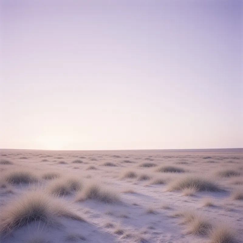 Scattered dry grass clumps rest on desert terrain beneath a soft sky shifting from pale yellow to lavender tones.