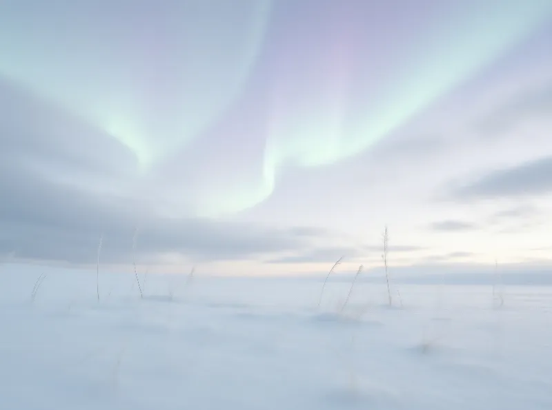 Aurora Over Snowy Landscape