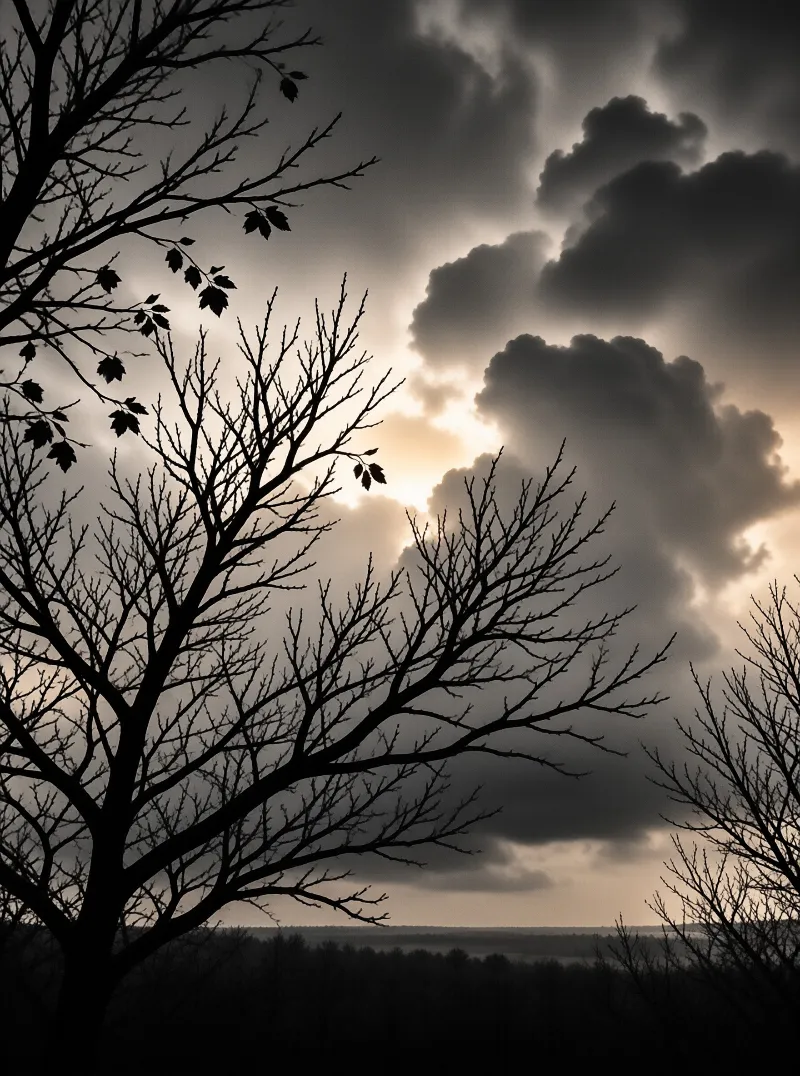 Dark silhouettes of bare tree branches frame a dramatic sky with heavy clouds and bright sunlight breaking through.