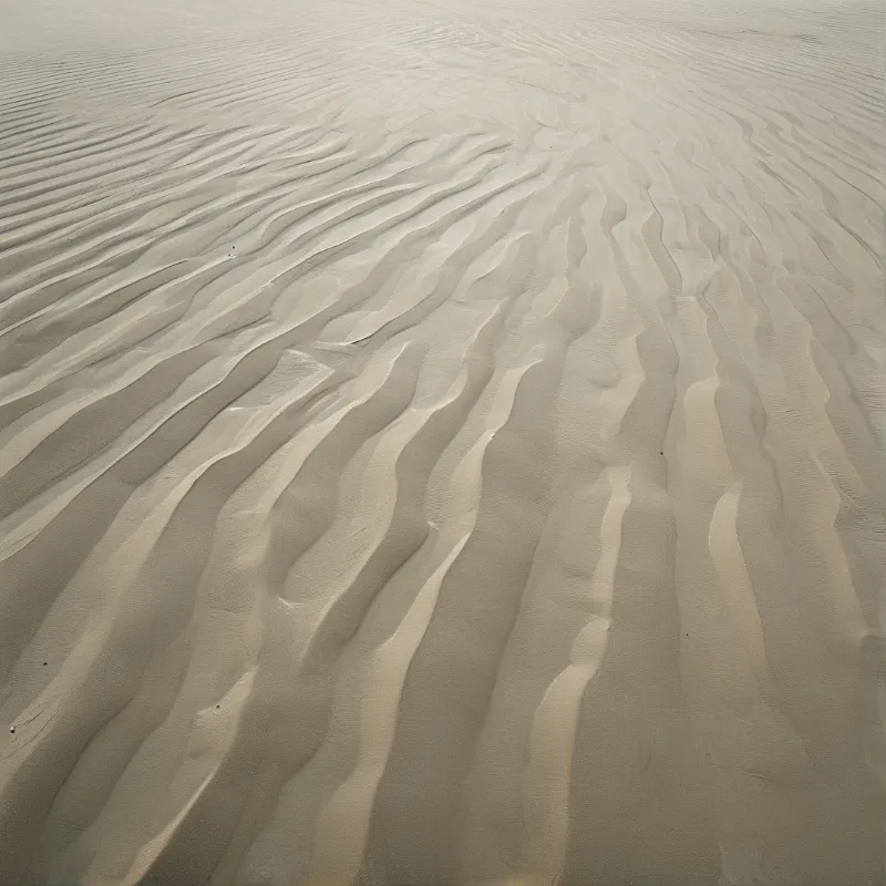 Rippled Sand Dunes
