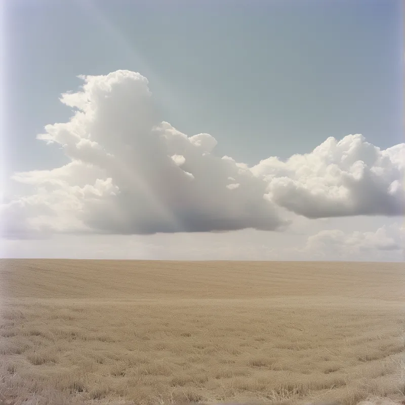A single billowing cloud floats above an endless field of golden wheat stubble in soft pastel light.