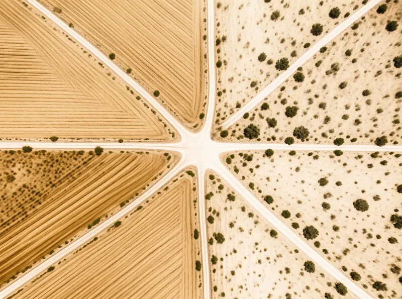 High angle view of a crossroads dividing plowed fields and scattered trees under bright sunlight.
