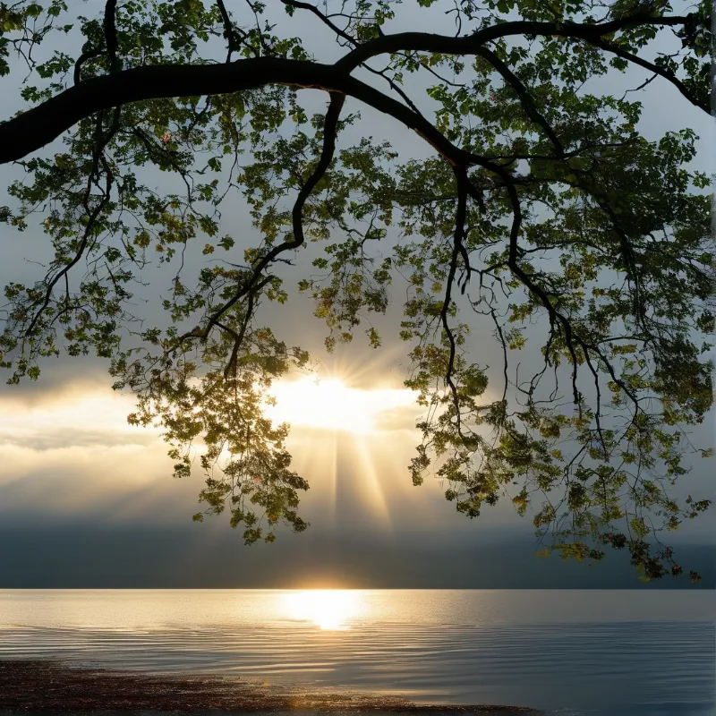 A large tree branch hangs over a calm lake while bright sun rays shine through the clouds and reflect on the water surface.