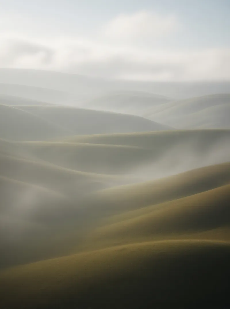 Foggy Sand Dunes